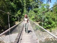 Pont suspendu Costa Rica