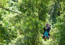 Canopy au Costa Rica